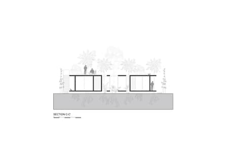 A Forest in the House